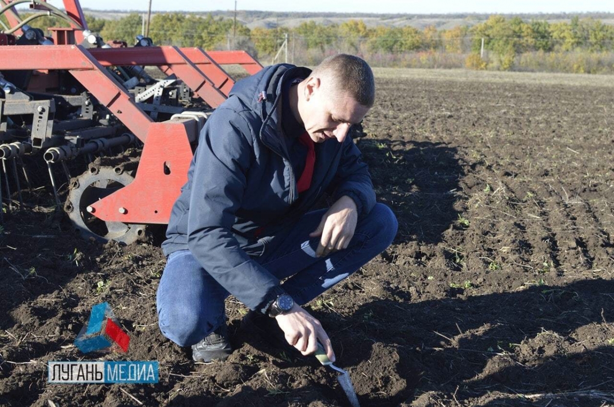 В Лутугинском районе продолжается посевная кампания озимых зерновых культур