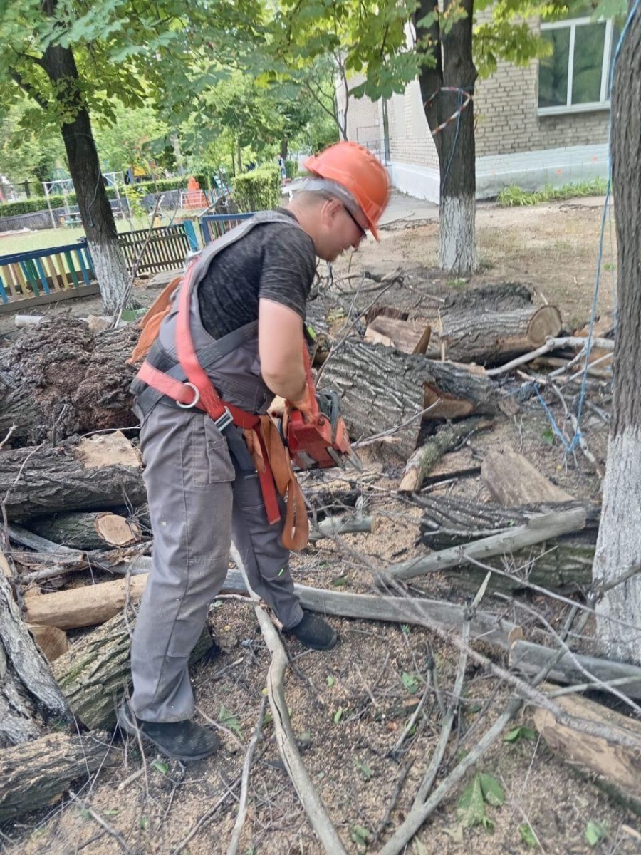 Удмуртские коммунальщики помогают коллегам из Лутугинского района устранять аварийные деревья
