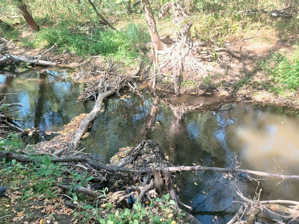 В Лутугинском округе продолжается Всероссийская экоакция «Вода России»