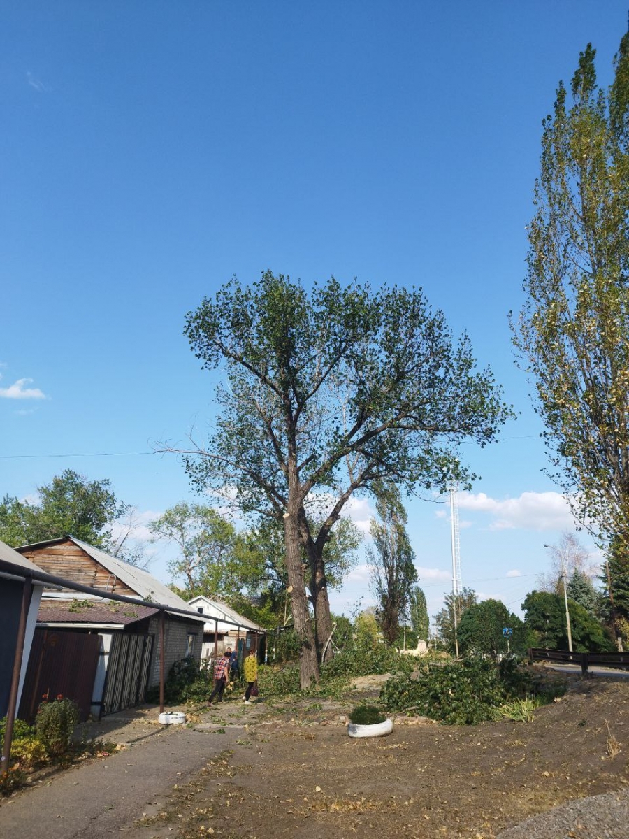 Продолжается помощь по спилу деревьев шефом-регионом Лутугинскому округу